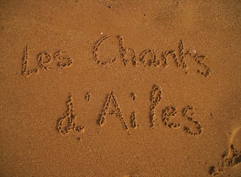 On the beach, beach umbrellas, beach towels