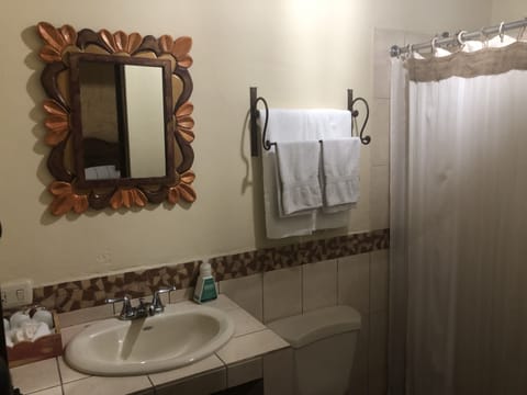 Studio Suite | Bathroom | Shower, hair dryer, towels