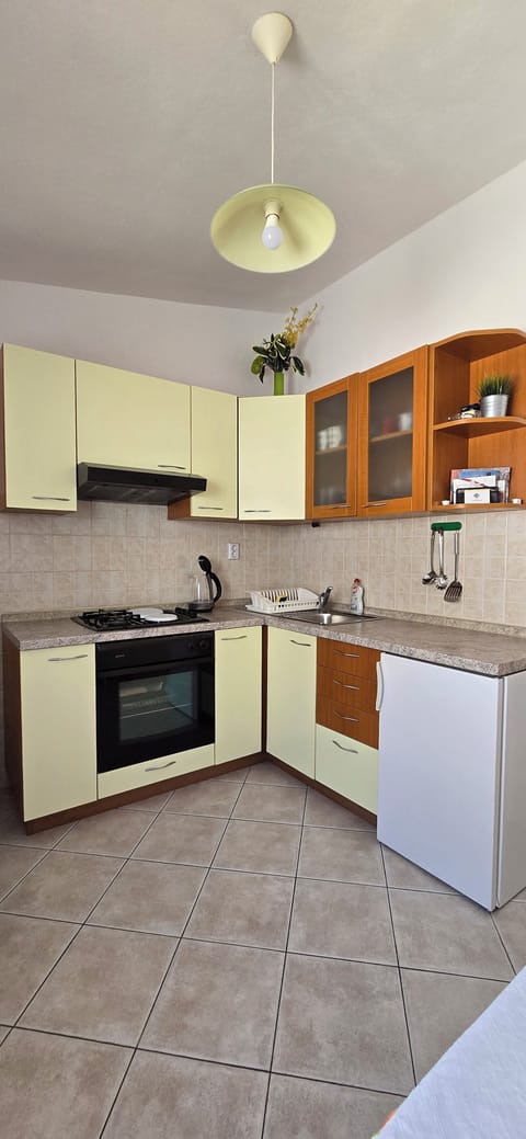 Apartment, Terrace | Private kitchen | Electric kettle