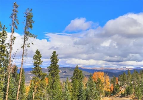 Gorgeous view from the road