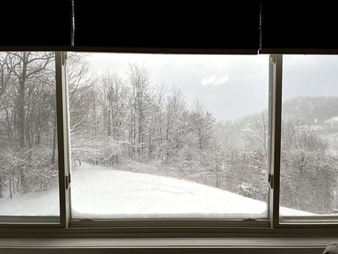Snowy view from window.