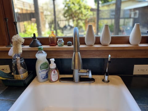 Kitchen sink with all dish cleaning needs and filtered water station