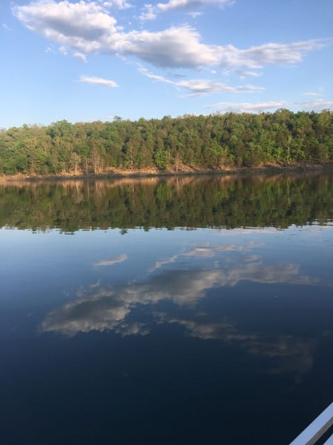 Norfork Lake  1 mile from your cabin 
