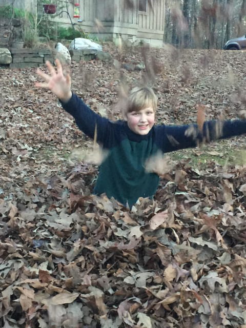 Fall — leaves, leaves, and more leaves! :-)