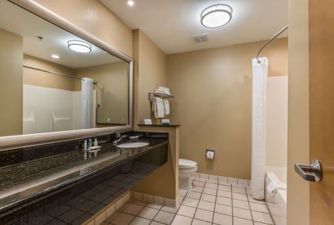 Room, 1 King Bed, Non Smoking | Bathroom | Combined shower/tub, hair dryer, towels