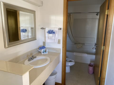 Luxury Double Room, 2 Queen Beds, Non Smoking, Mountain View | Bathroom | Combined shower/tub, deep soaking tub, hydromassage showerhead