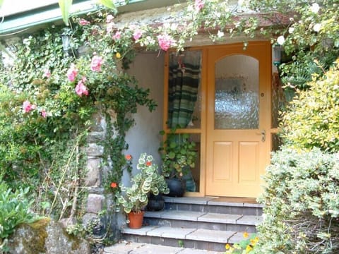 Roses around the Front Door of Horseshoe Cottage Cottage