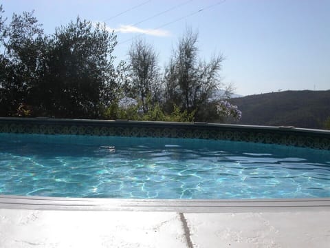 The pool