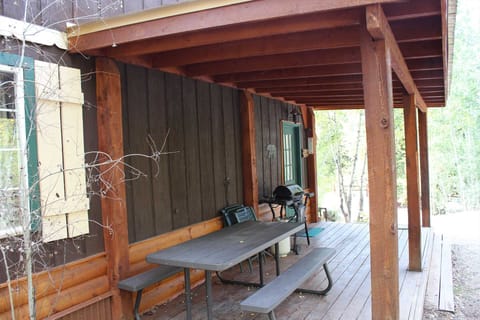 Piicnic Table and Grill on Covered Deck