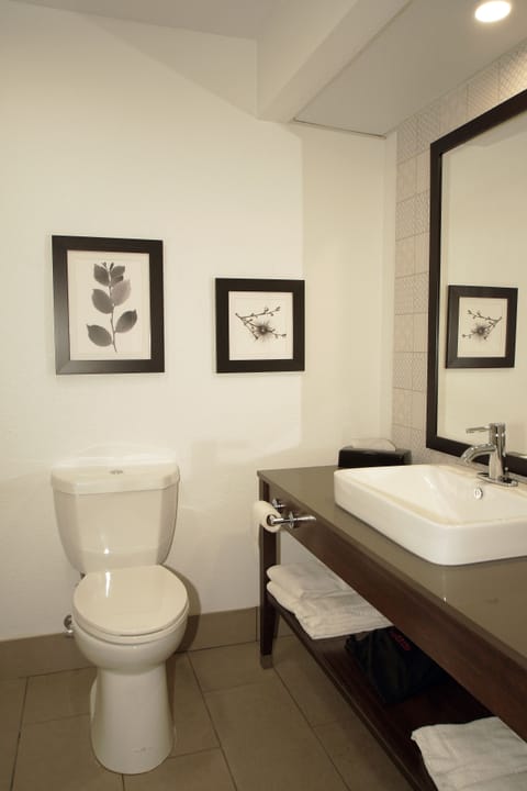 Rainfall showerhead, hair dryer, towels, soap