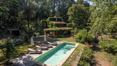 Wine Vineyard nature naturalpark Montemarcello