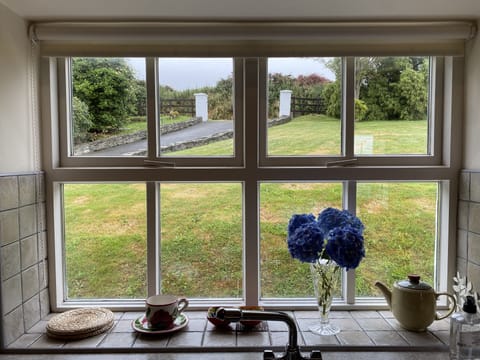 View From Kitchen Window