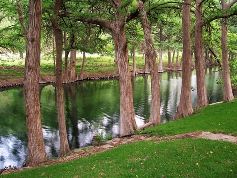 This river is barely outside the back yard gate for swimming or C/R fishing.