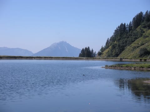 the beautiful tranquillity and splendour on the Col de Joux Plane.