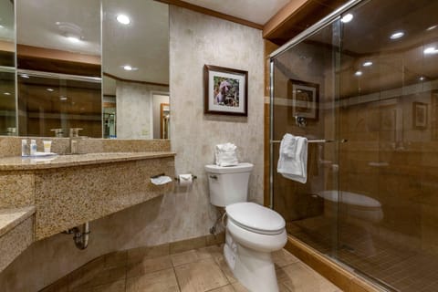 Standard Room, 1 King Bed, Non Smoking | Bathroom | Combined shower/tub, hydromassage showerhead, hair dryer, towels