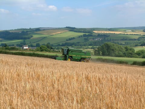 Clover Cottage, East Trayne Holiday Cottages Cottage in North Devon District