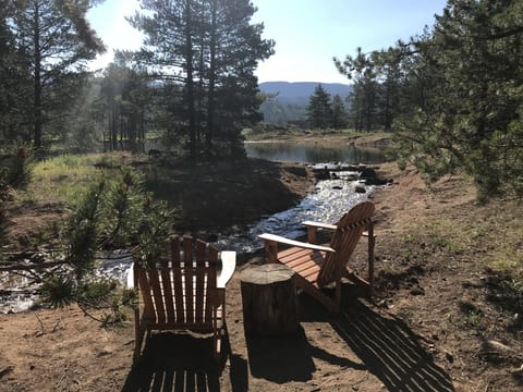 Relaxing backyard views