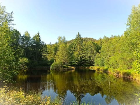 Vue extérieure étang (1) Redim OK