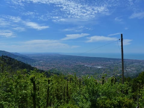 Building Exterior, Outdoor