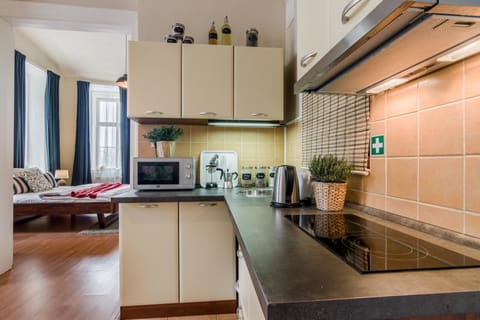 Classic Apartment | Private kitchen | Fridge, microwave, oven, stovetop