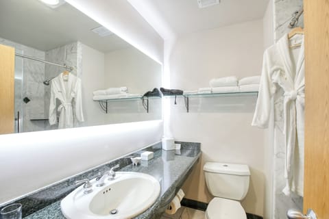 Combined shower/tub, free toiletries, hair dryer, bathrobes
