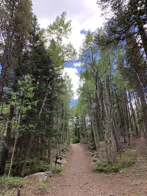 Nearby trail