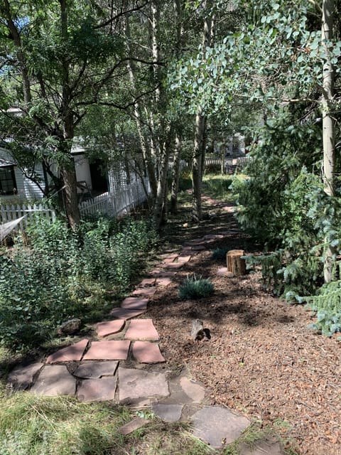 Naturalized front garden