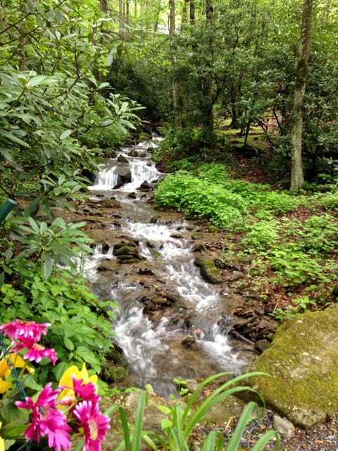 Cross the Johnson Branch Creek below the cabin.