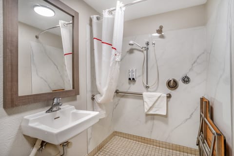 Deluxe Room, 1 King Bed, Accessible, Non Smoking | Bathroom | Combined shower/tub, hair dryer, towels, soap