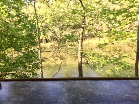 View from the outdoor eating area