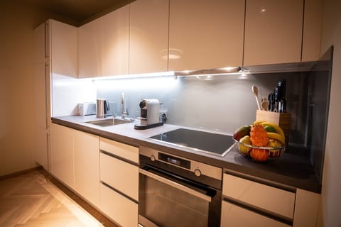 Superior Apartment | Private kitchen | Full-size fridge, oven, stovetop, dishwasher