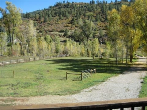 Huge flat acreage fields: Great for kids to run around and play ball