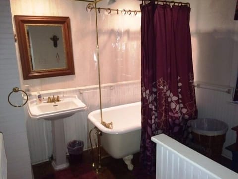 Claw foot tub with shower