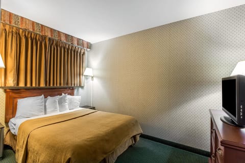 Standard Room, 2 Queen Beds | 2 bedrooms, in-room safe, desk, iron/ironing board