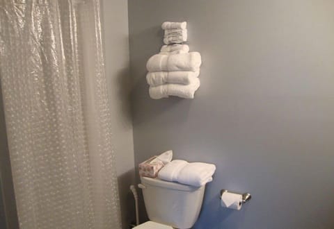 Basement Bungalows | Bathroom | Combined shower/tub, towels