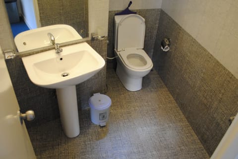Deluxe Double Room | Bathroom | Shower, free toiletries, bidet, towels