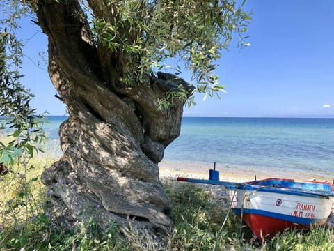 Beach nearby, sun loungers, beach umbrellas, beach towels