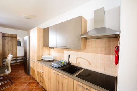 Superior Apartment with garden (sea view, ground floor) | Private kitchen | Fridge, microwave, stovetop, electric kettle