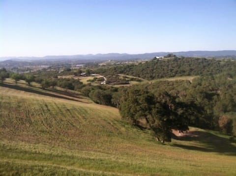 sunsets abound ..view from studio cottage