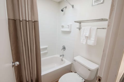 Combined shower/tub, free toiletries, hair dryer, towels