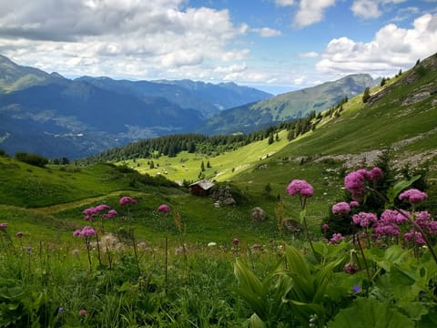 Hiking in the Alps