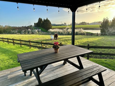 View from cabin with our goats and cow in the background