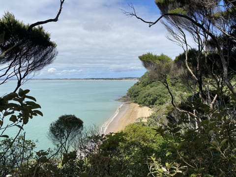 Track from the property through the bush leads to this bay