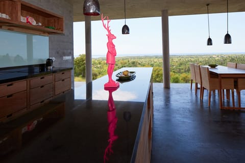 dining area and kitchen