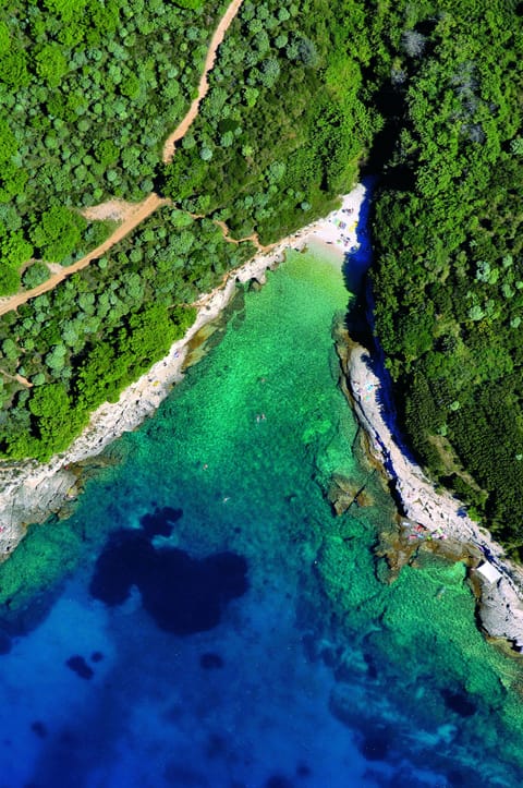 Aerial view