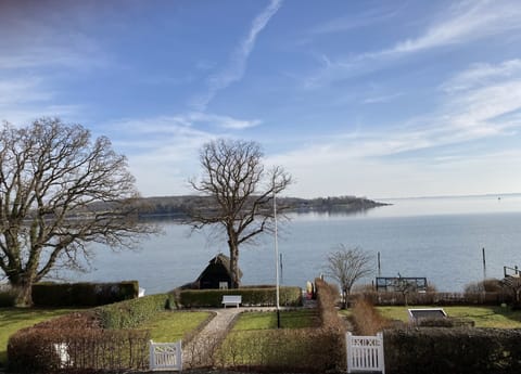 Panoramic Room, 1 Queen Bed, Shared Bathroom, Sea View | View from room