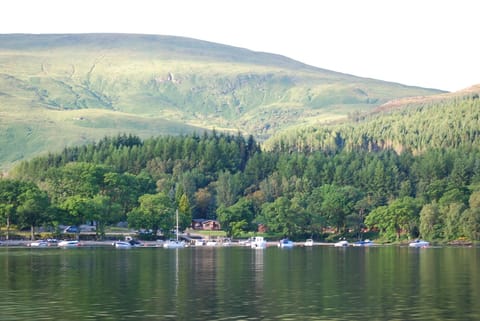 Lodge site from loch