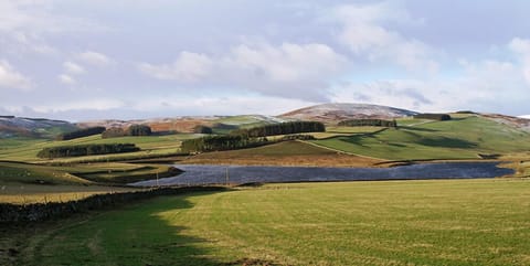 loch for fishing wild brown trout included in the price
