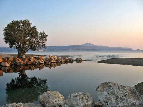 Kiani Akti (the nearest organized beach - 7 minute drive from Elia-House)