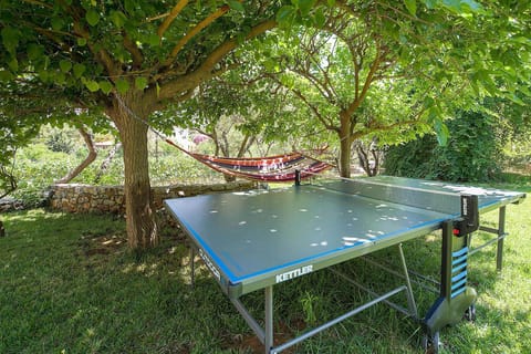 Ping pong table & hammock in our garden!